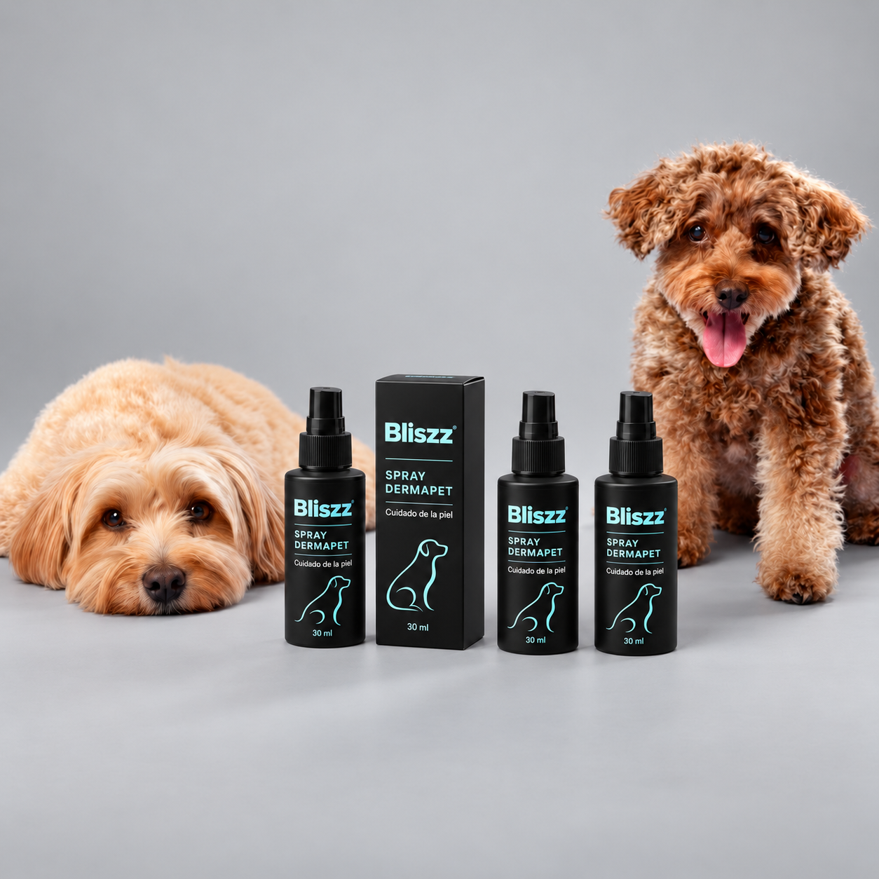 Spray Dental Bliszz