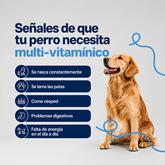 Multi-vitamínico