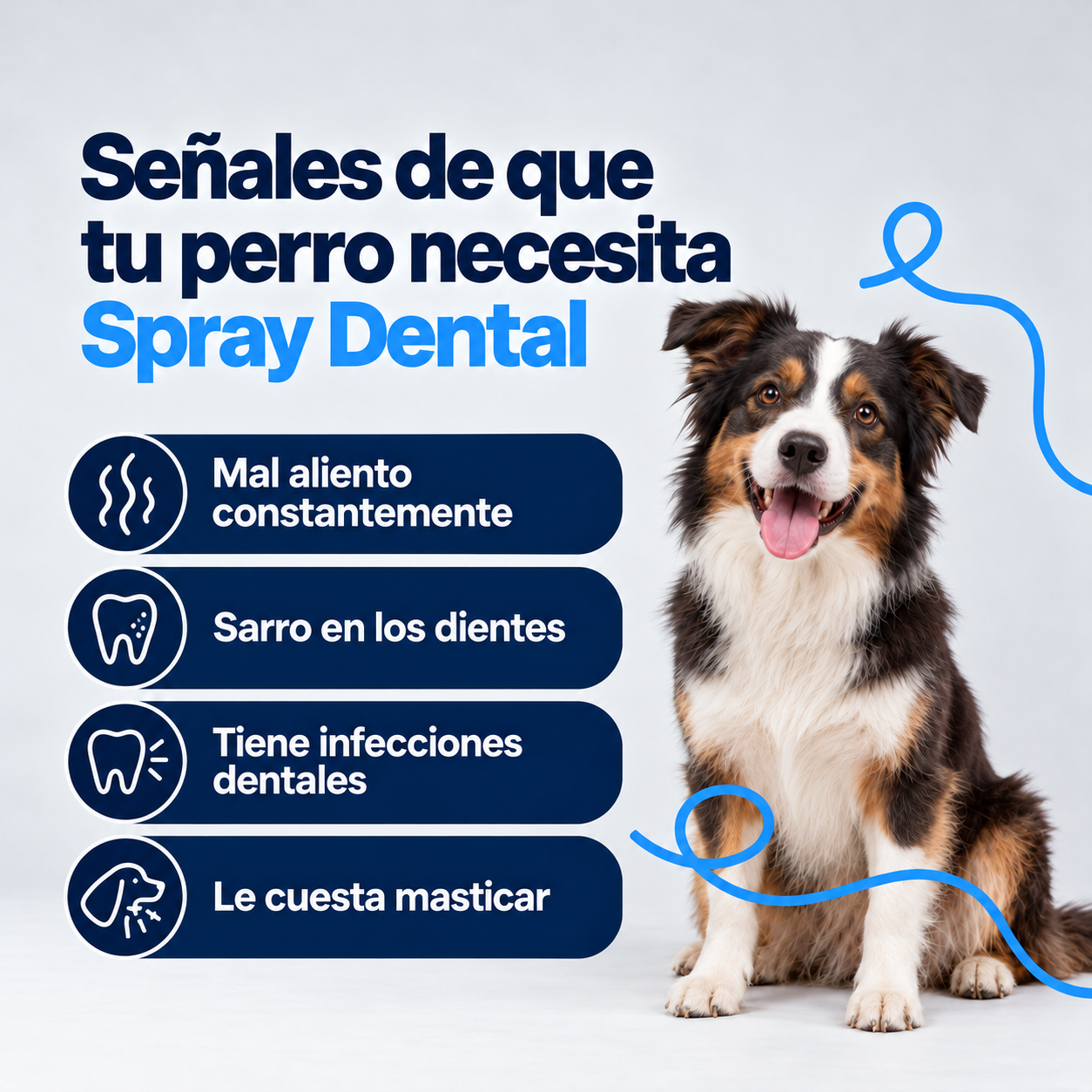 Spray Dental Bliszz
