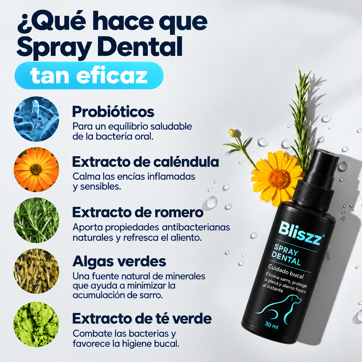 Spray Dental Bliszz